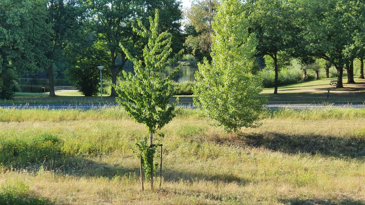 Logies Bij Wandelpad Te Holten Bagian luar foto